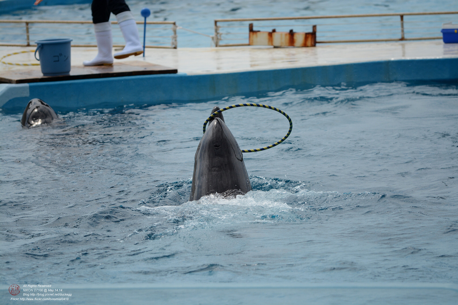 DSC_3054.jpg